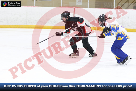 20241214-1773142024 St Marys Sinpers Ringette Tournament