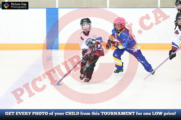 20241214-1239142024 St Marys Sinpers Ringette Tournament