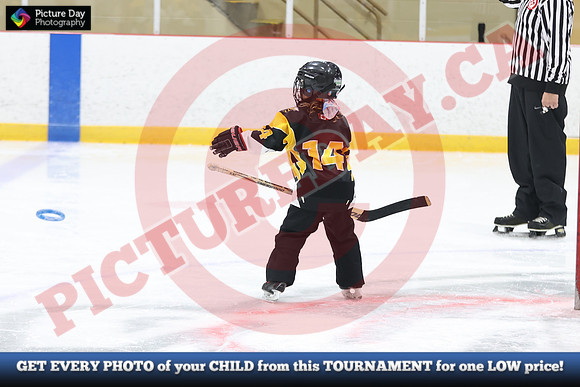 20241214-0758142024 St Marys Sinpers Ringette Tournament