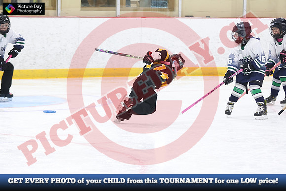 20241214-0826142024 St Marys Sinpers Ringette Tournament