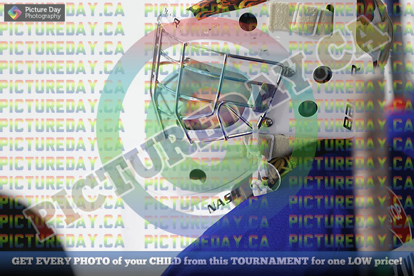 20250131-300031