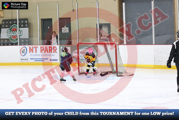 20241215-5729152024 St Marys Sinpers Ringette Tournament