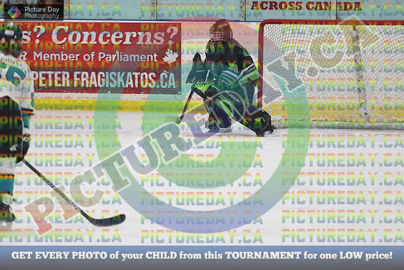 20250201-17457