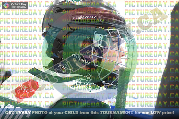 20250119-2169919