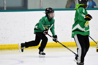 am 09.00 TCC-East [C] Kitchener Wildcats - McNamara vs Mississauga Mustangs