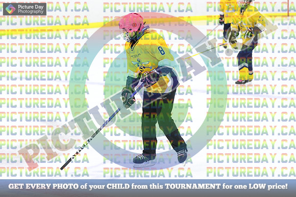 20250208-80638