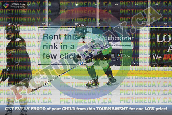 20250131-3101