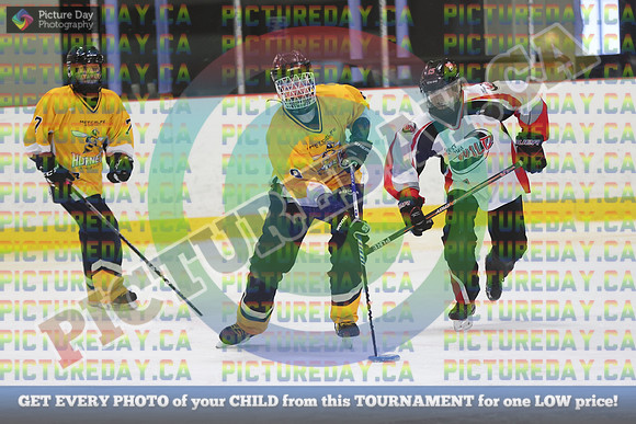 20250208-8442