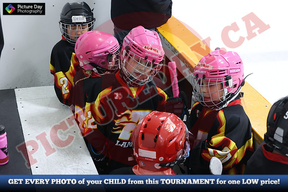 20241108-064482024 Belmont Rangers U7 Rumble
