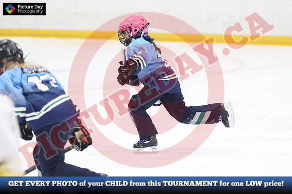 20241215-4180152024 St Marys Sinpers Ringette Tournament