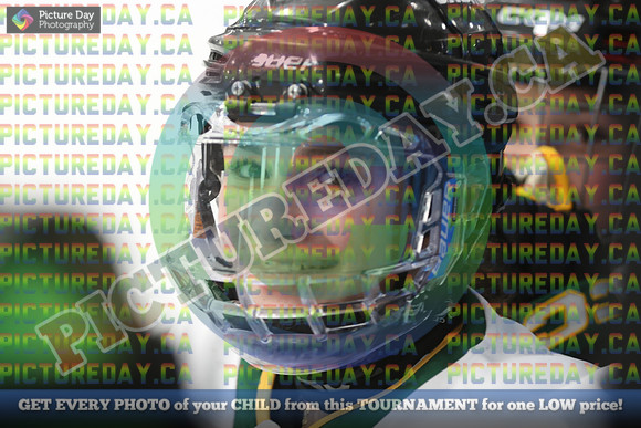 20250201-17289