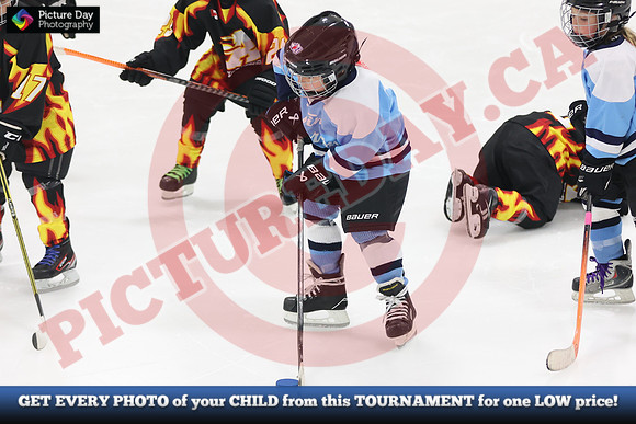 20241108-161282024 Belmont Rangers U7 Rumble