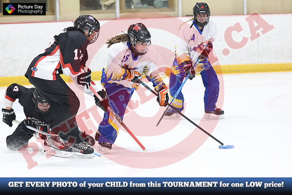 20241214-1748142024 St Marys Sinpers Ringette Tournament