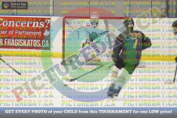 20250131-3113