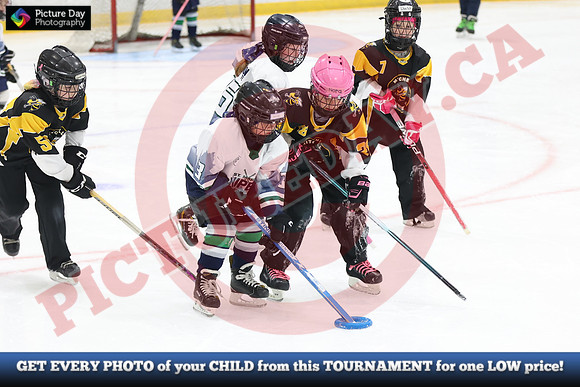 20241214-0818142024 St Marys Sinpers Ringette Tournament