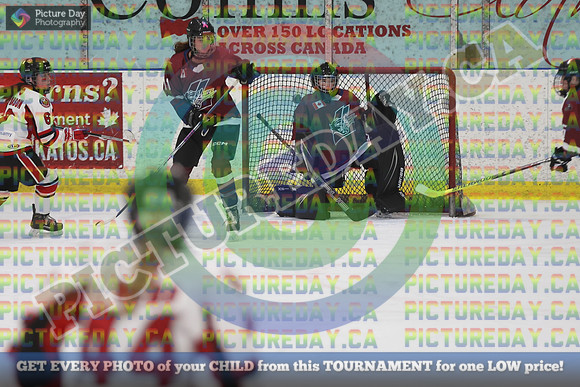 20250131-2446