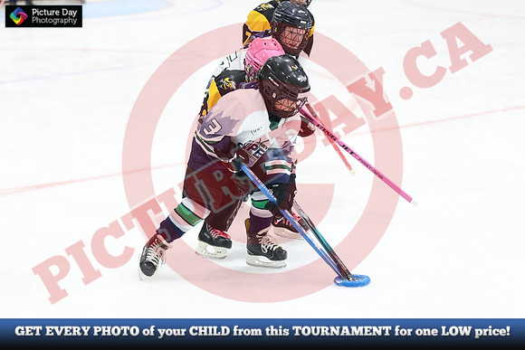 20241214-0820142024 St Marys Sinpers Ringette Tournament