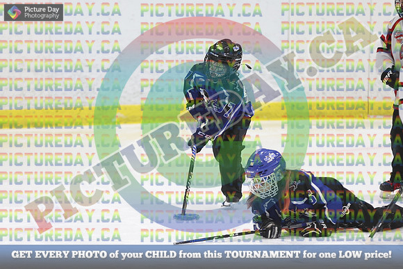 20250104-169824