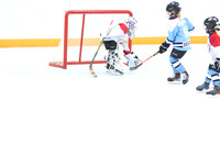 20241108-039682024 Belmont Rangers U7 Rumble