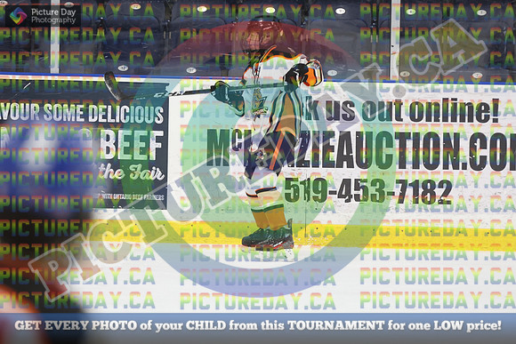 20250221-5336