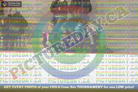 20250208-6115