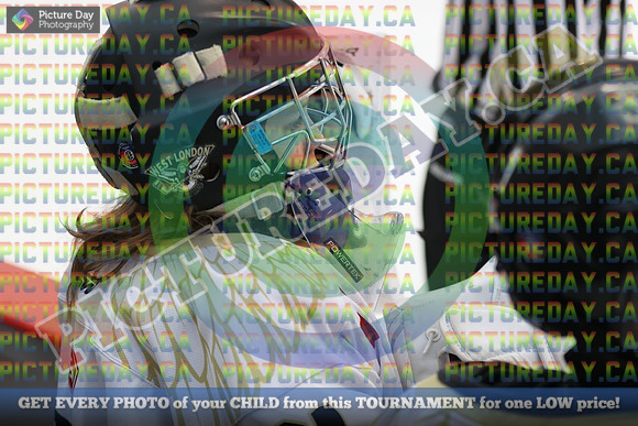 20250222-924422