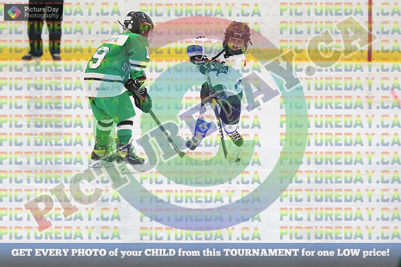 20250117-852117