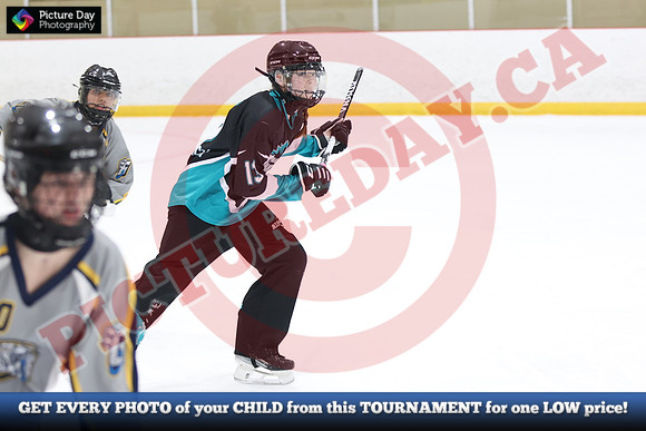 20241215-4809152024 St Marys Sinpers Ringette Tournament