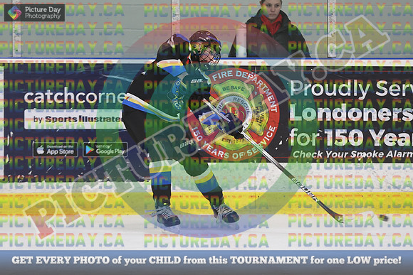 20250201-16161