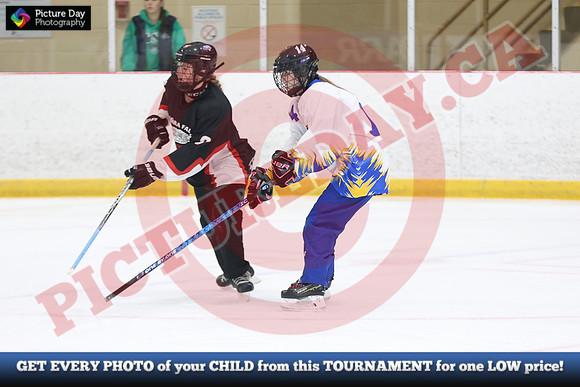 20241214-1712142024 St Marys Sinpers Ringette Tournament