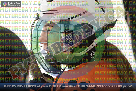 20250201-16859