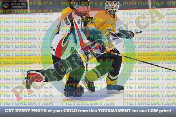 20250208-8480