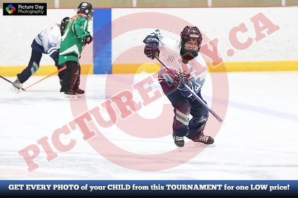 20241214-3408142024 St Marys Sinpers Ringette Tournament