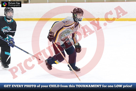 20241215-4810152024 St Marys Sinpers Ringette Tournament