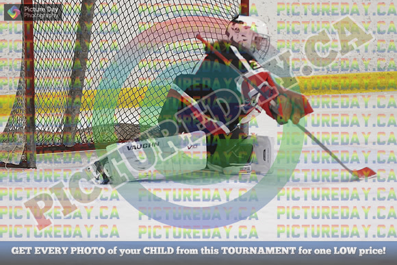 20250131-7333
