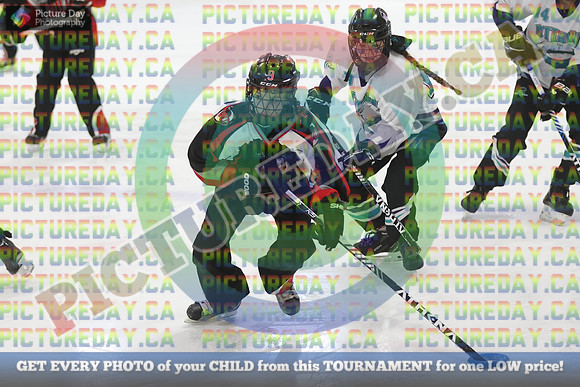 20250207-2586
