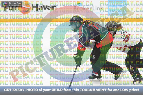 20250331-1161