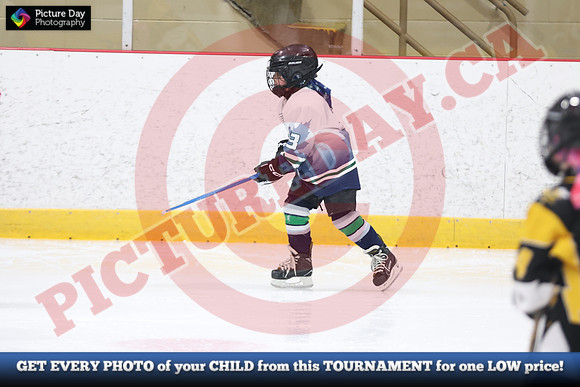 20241214-0829142024 St Marys Sinpers Ringette Tournament