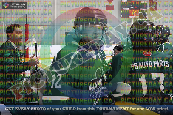20250131-239931