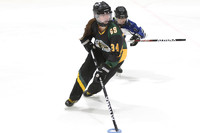 20250103-318332025 Whitby Ringette Tournament
