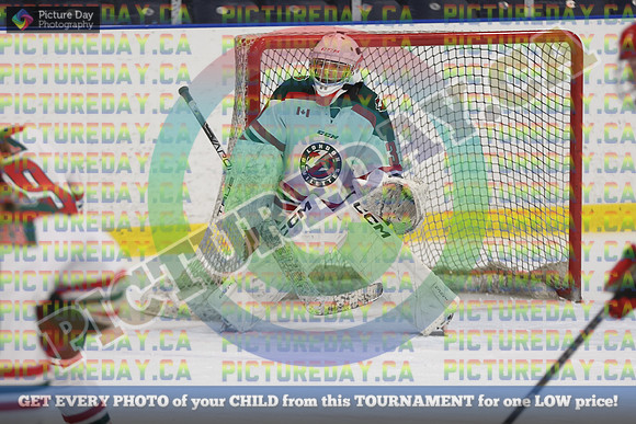 20250201-17919