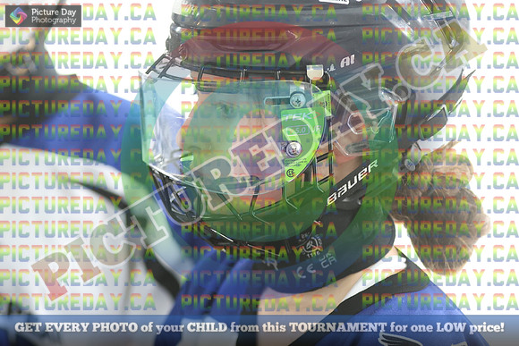 20250208-9588