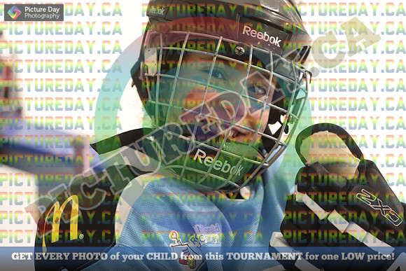 20250201-12000
