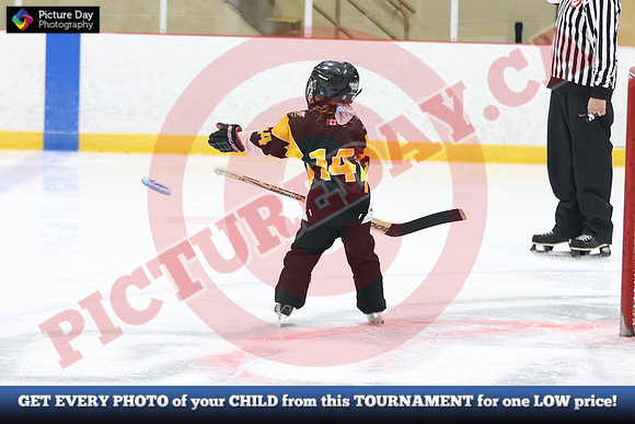 20241214-0757142024 St Marys Sinpers Ringette Tournament
