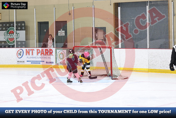 20241215-5731152024 St Marys Sinpers Ringette Tournament