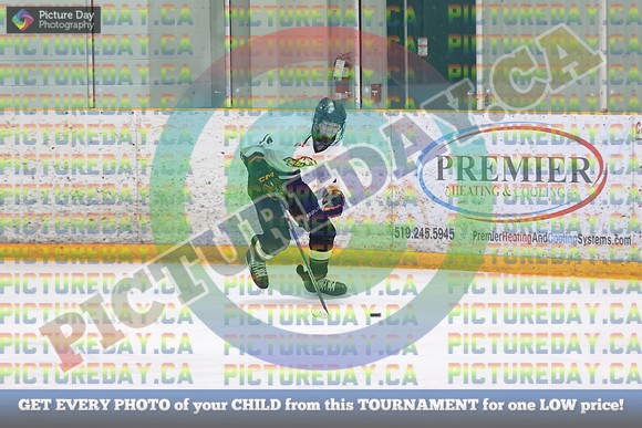 20250131-241131