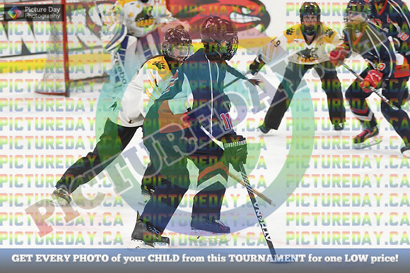 20250313-2286