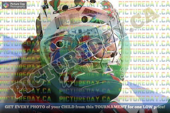 20250201-17953