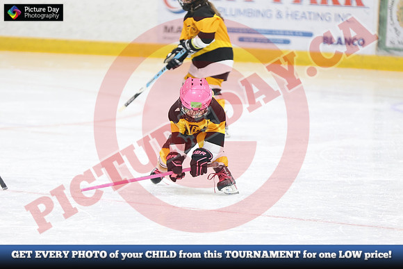 20241215-5677152024 St Marys Sinpers Ringette Tournament