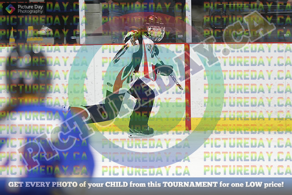 20250313-2528